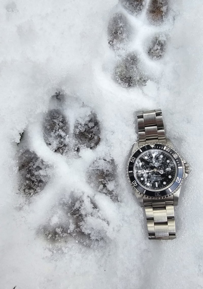 Replica Submariner Black Bezel