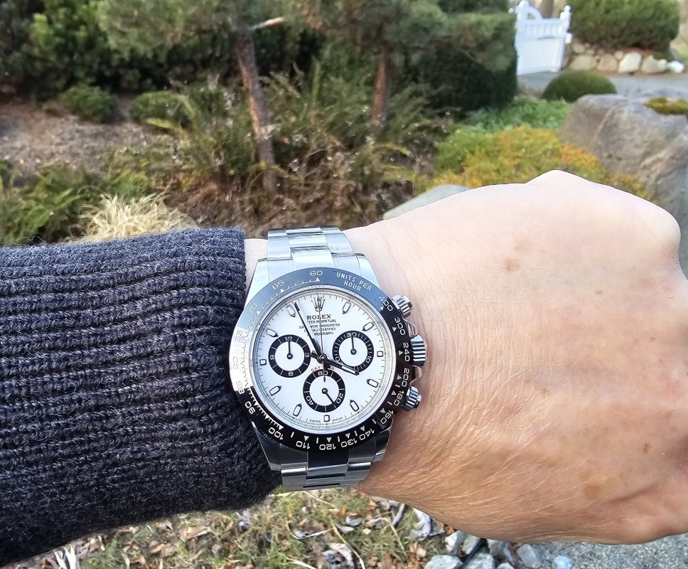 Super Clone Daytona Panda
