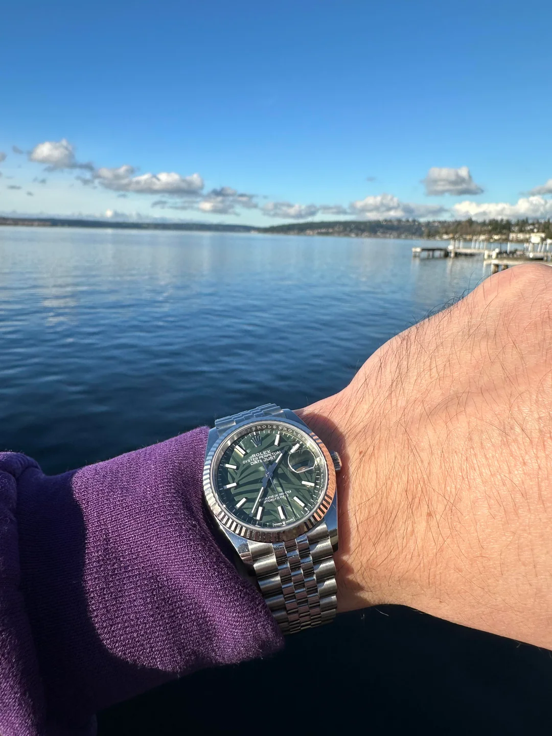 Datejust 36mm Palm Motif Dial 126234-0047 photo review