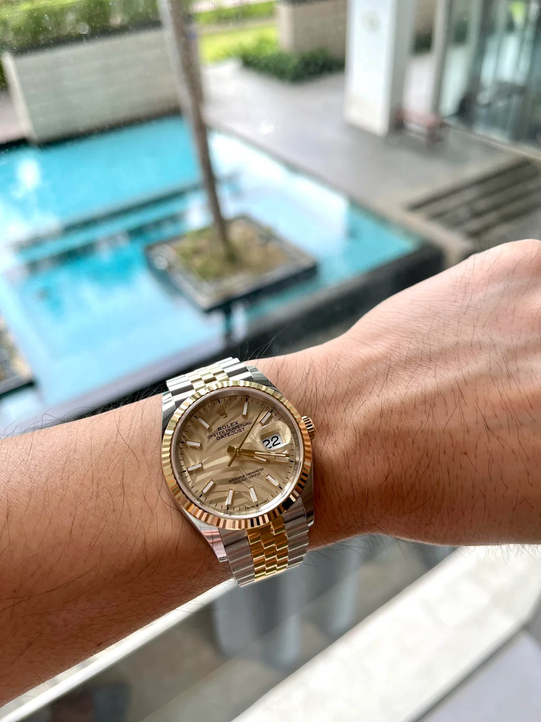 Datejust 36mm Gold Palm Motif Dial 126233 photo review